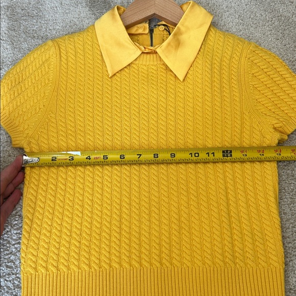 Alice and Olivia Abbott with collar - Picture 11 of 15